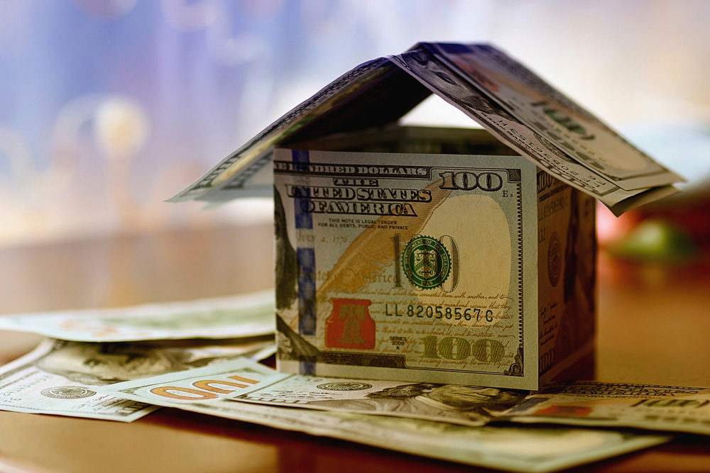 passive investor