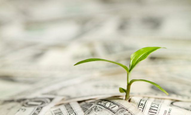 Grass grow up from dollars