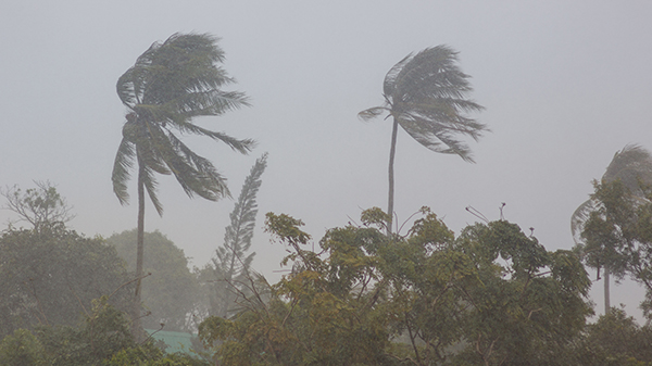 Hurricanes