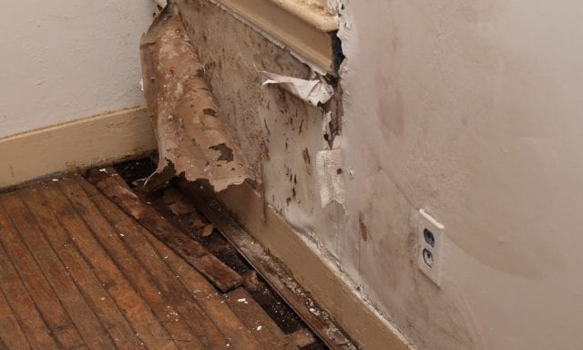 Mold