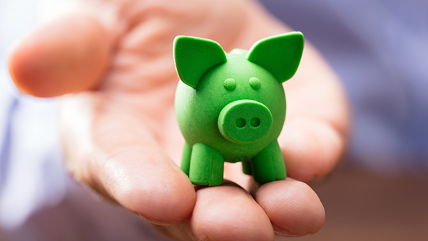 green pig
