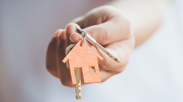 landlords