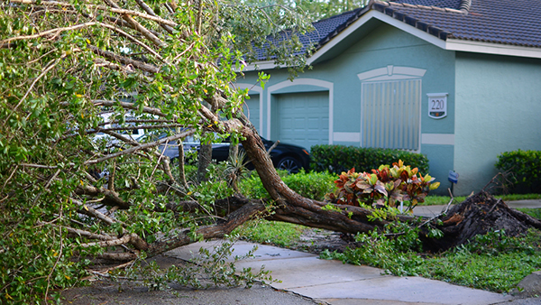 Hurricane-Irma-Damage
