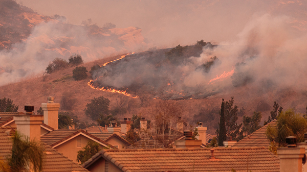 Wildfires