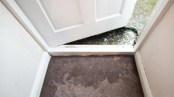 Flood-Insurance