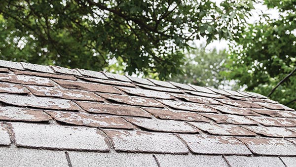 Property-Protection_Featured