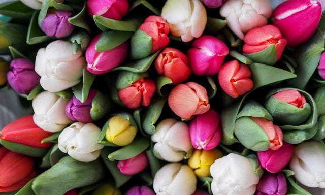 Flowers Springtime Best Month for Sellers