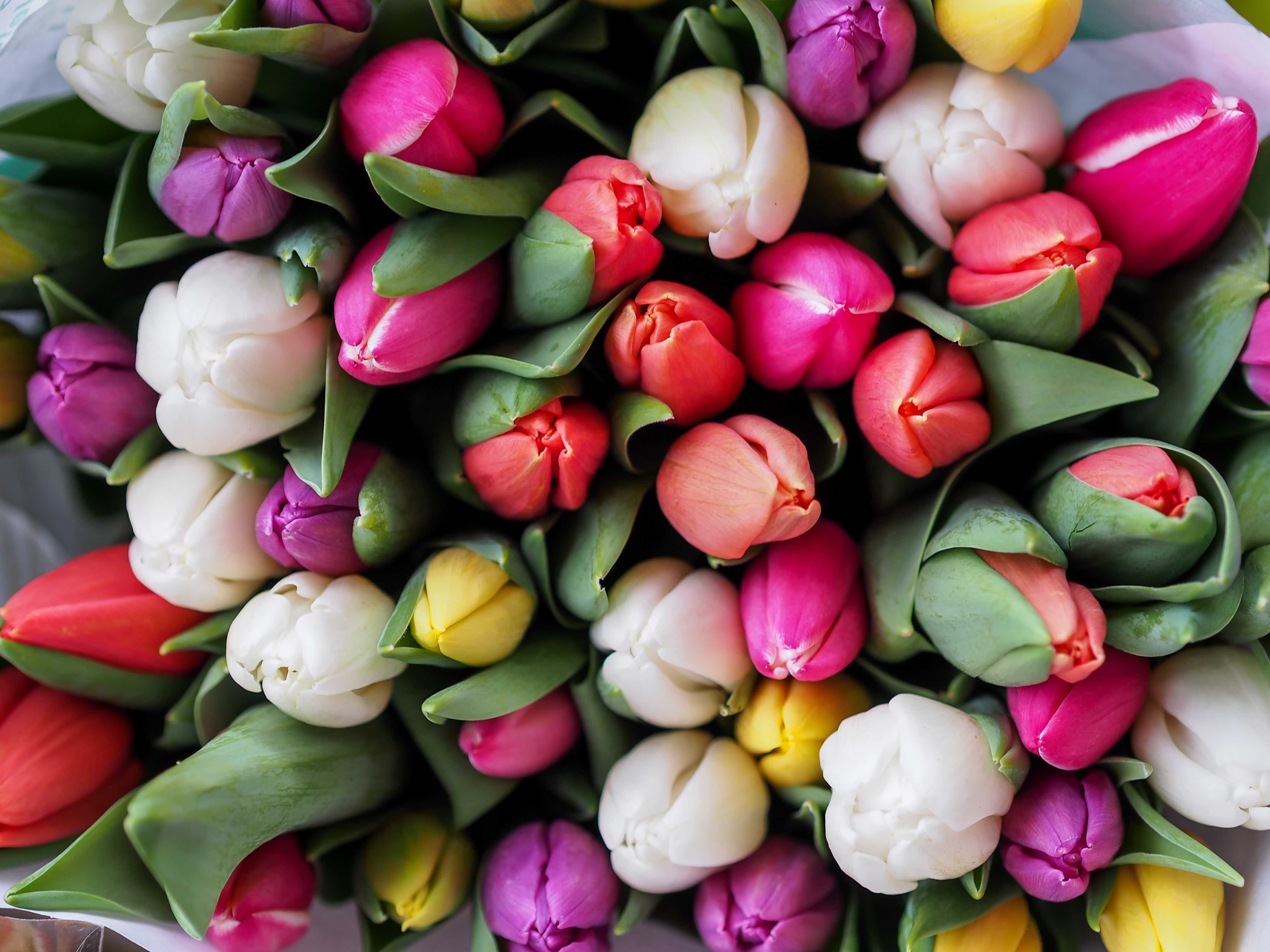 Flowers Springtime Best Month for Sellers