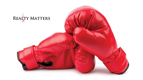 RealtyMatters-BoxingGloves