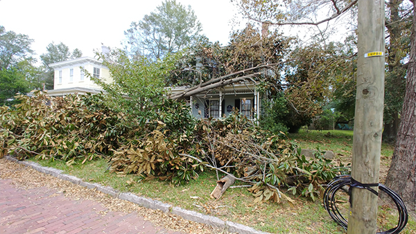 Hurricane-Florence-Vets