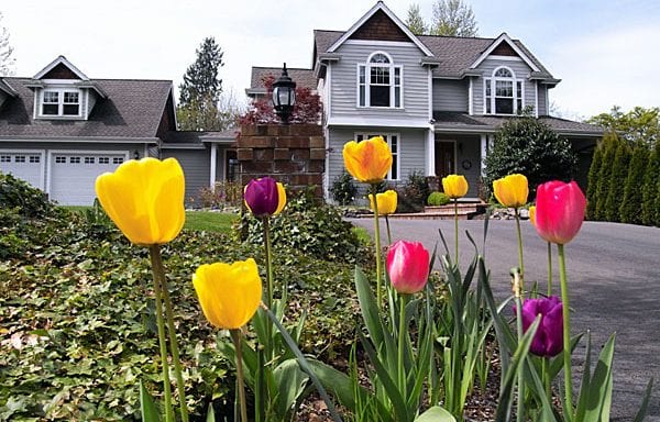 Home Spring Real Estate