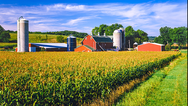 Farmland: An Under-the-Radar Investment | Think Realty | A Real Estate of  Mind