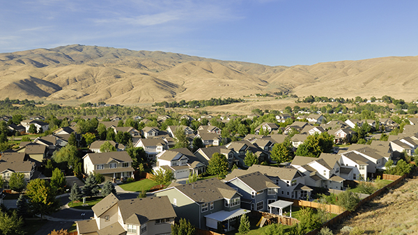Auction Buyer Optimism at Three-Year High in 2025