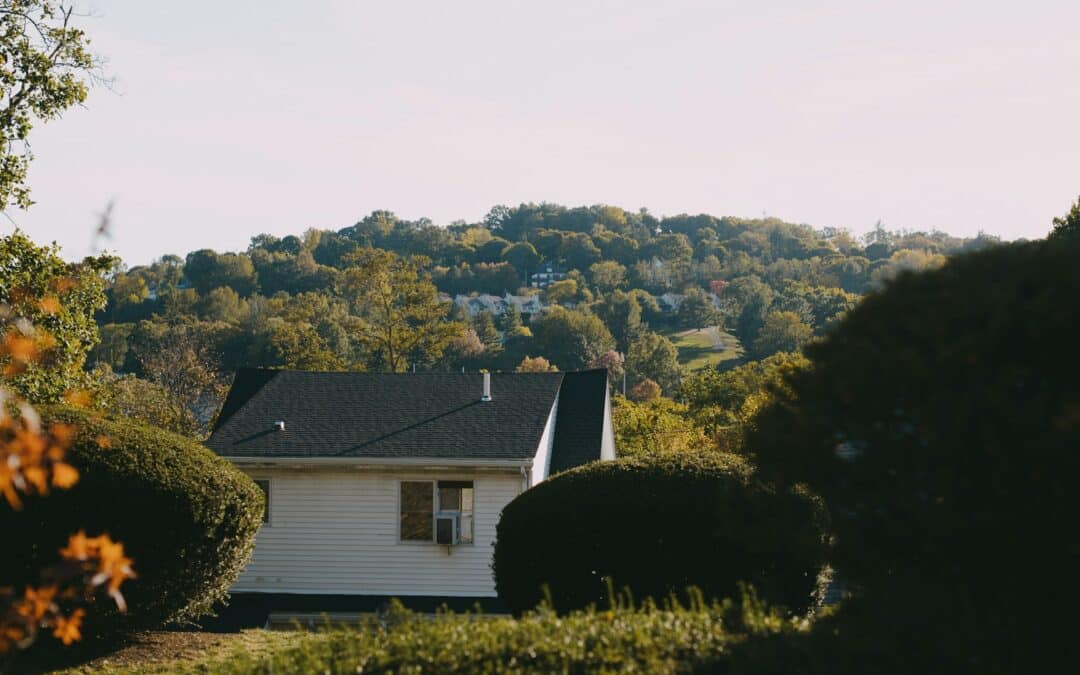 Save Affordable Housing, Save the World